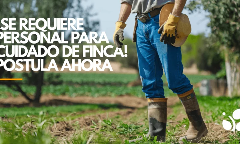 Trabajador de finca sembrando cultivos en el campo